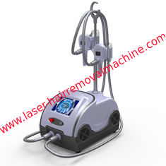 China Cool Sculpting Slimming Cryolipolysis Machine for Freezing Fat supplier