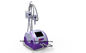 Cool Sculpting Cryolipolysis Radio Frequency Laser, Fat Reduction supplier